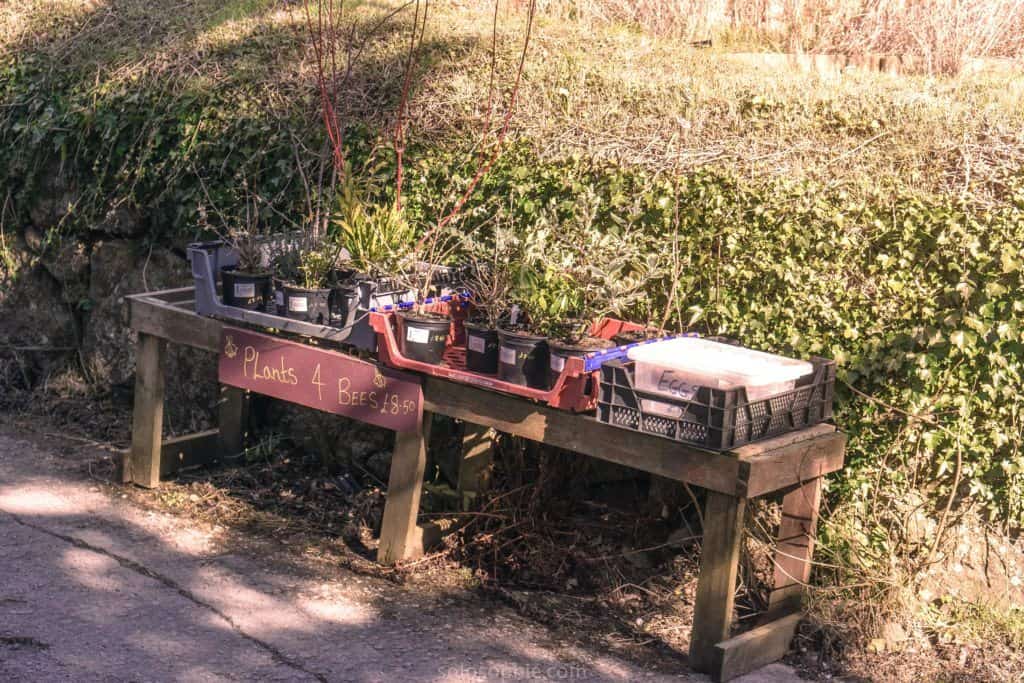 Murchington, a quaint hamlet in Dartmoor National park, Devon, England: produce sale