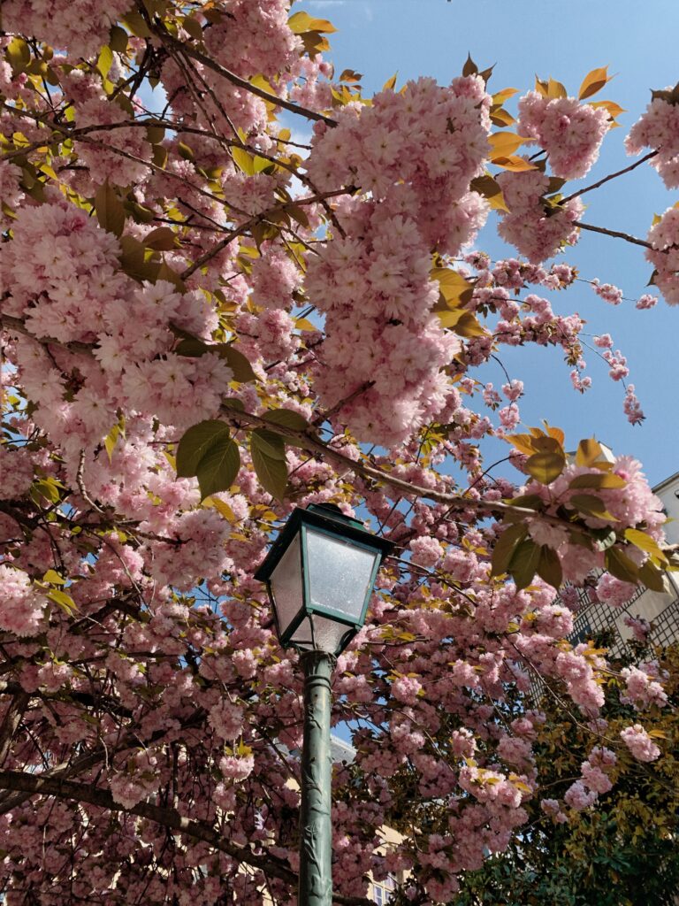 square gabriel pierne