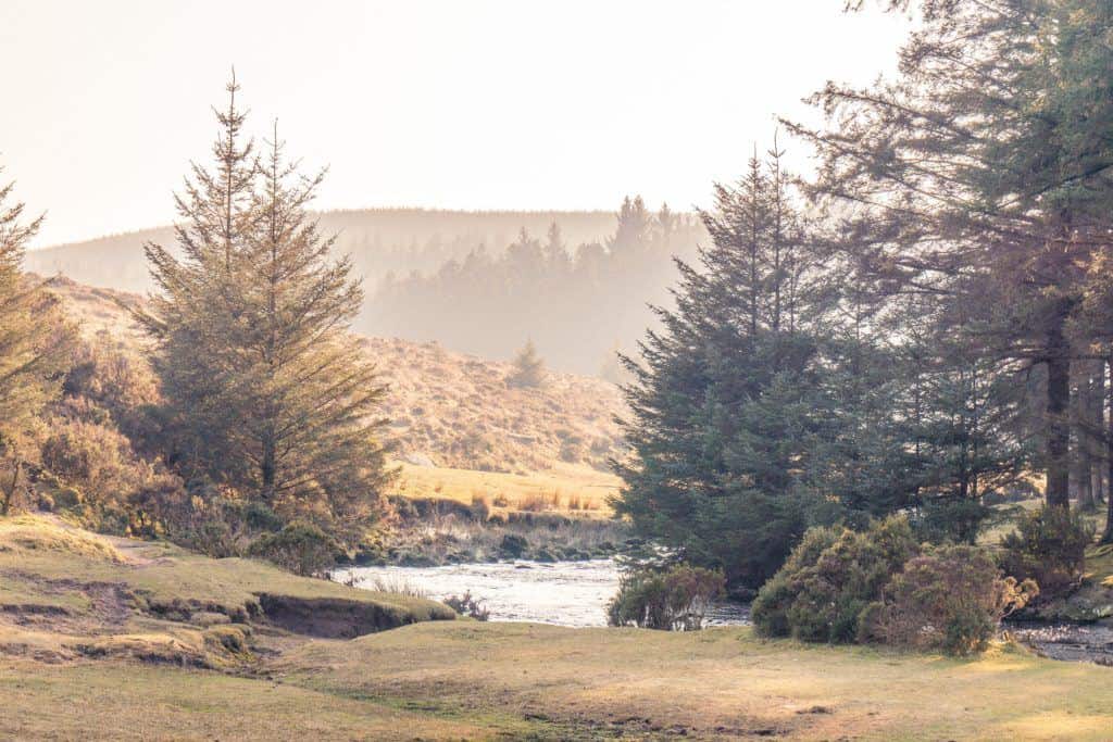 A quick guide to Bellever Forest, Bellever Tor, Bellever Village, Dartmoor National Park, Devon, England: forest