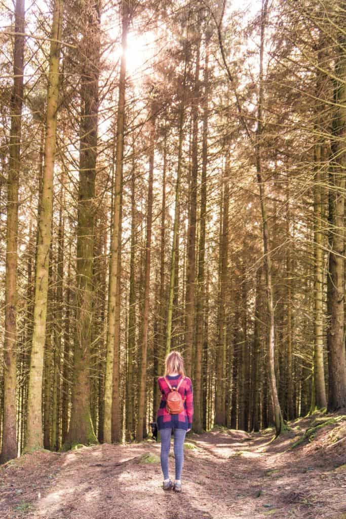 Gidleigh guide: Best things to do in Gidleigh, Dartmoor National Park, Devon, England