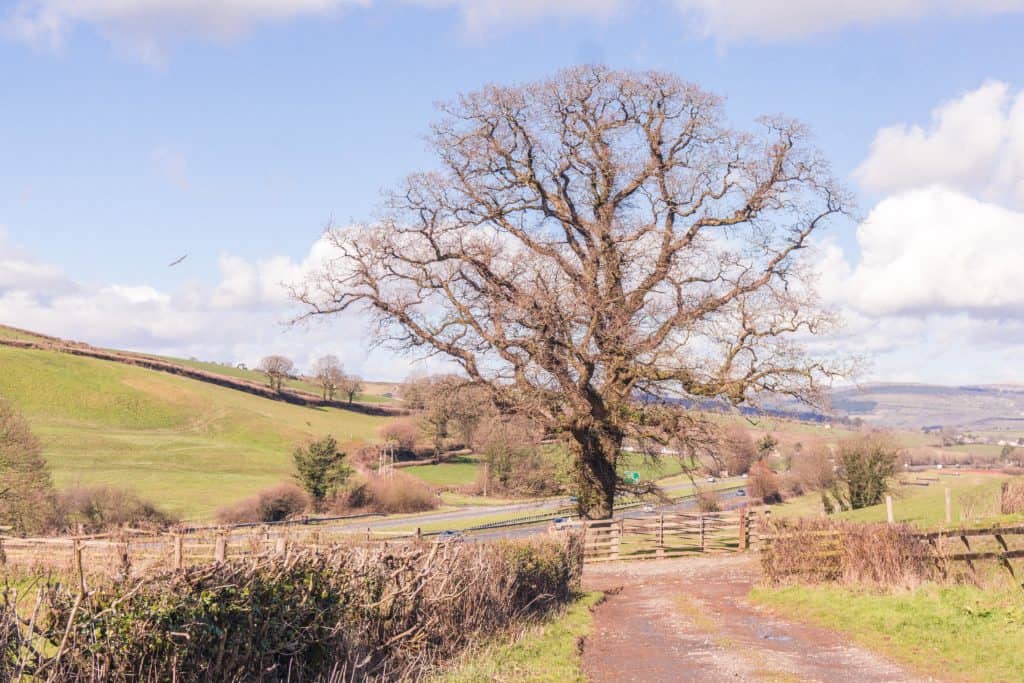 14th Century Church of St George the Martyr, Dean Prior, Dartmoor, Devon, England