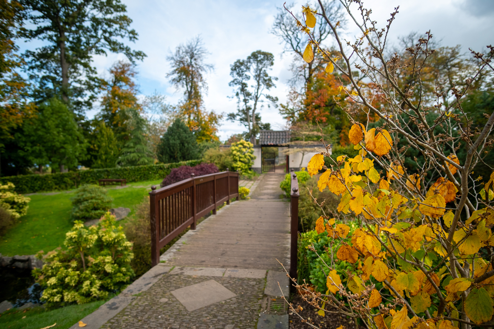 kyoto friendship garden edinburgh