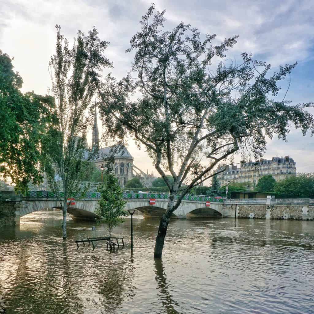 Paris floods, France: history, legend and photos: notre dame