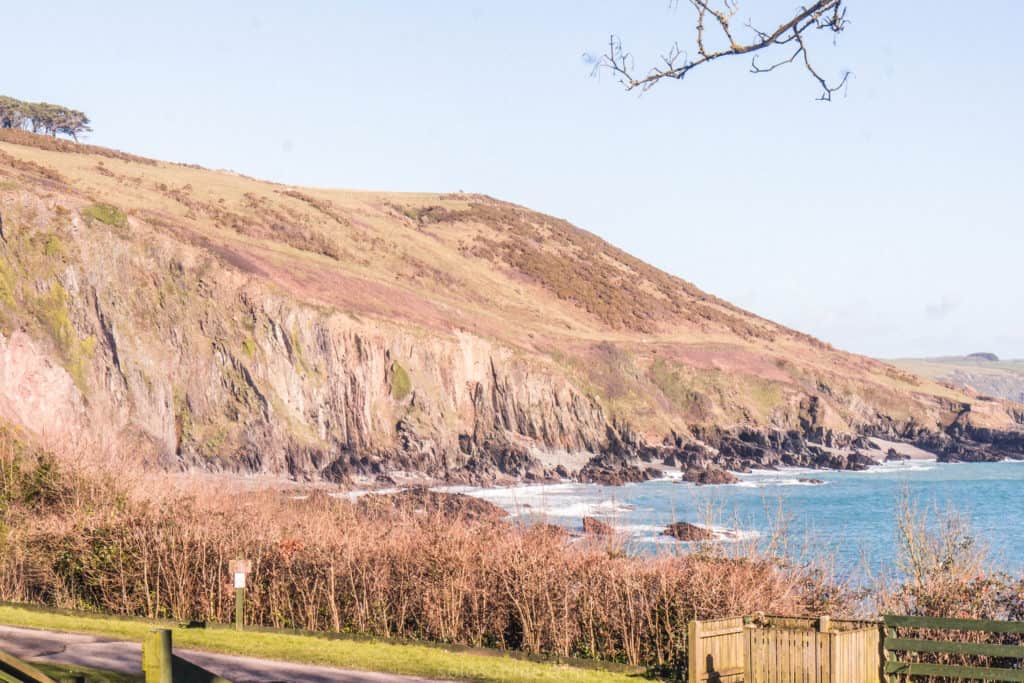 revelstoke coastline