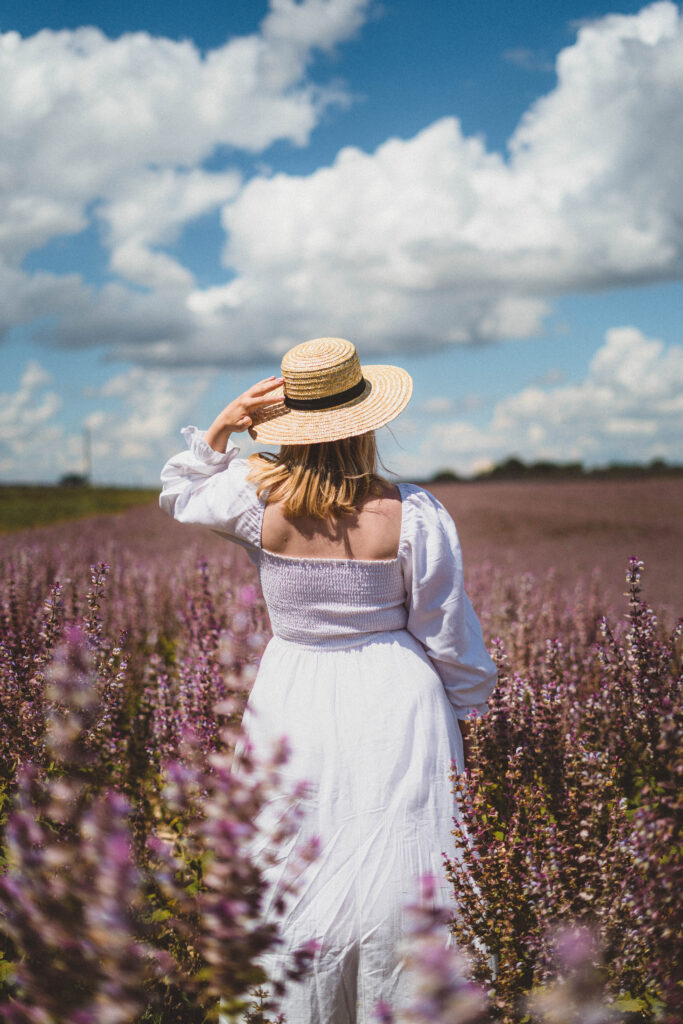 sage field in provence