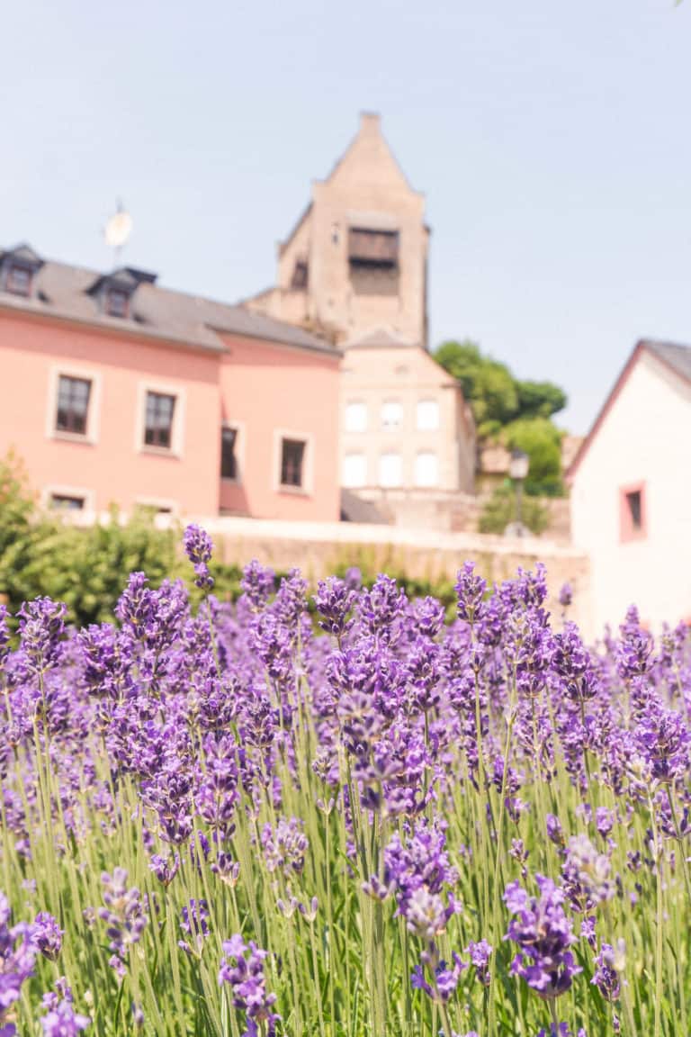 A quick guide to the best things to do in Larochette, a market town in Luxembourg, Europe