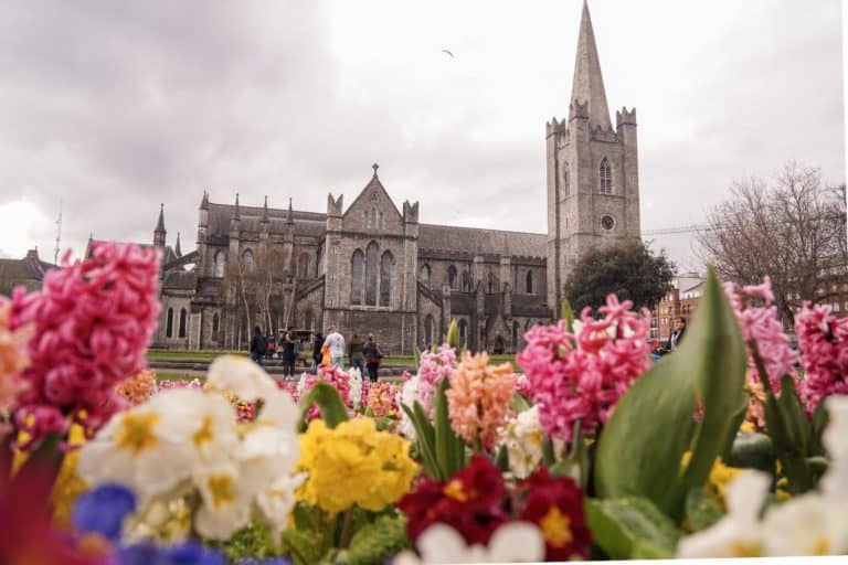 A quick guide on where to find the very best cherry blossom in Dublin. Here's all the best photo spots and parks for seeing hyacinth, spring blooms, and magnolia trees in the Irish Capital, Dublin, Ireland!