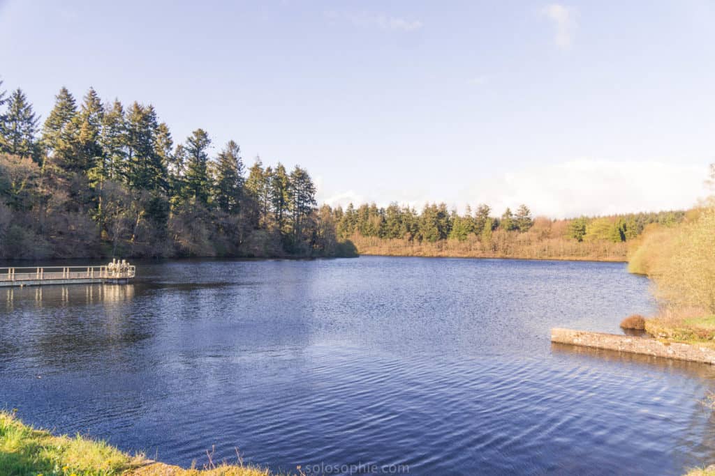 Trenchford Reservoir: A quick guide to the best of Dartmoor reservoirs, Dartmoor National Park, Devon, England