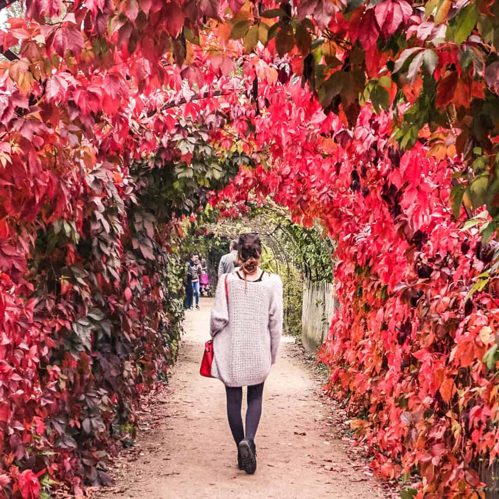 These Versailles photos prove that the palace, gardens, Petit Trianon, and Grand Trianon are totally worth the trip from Paris, France!