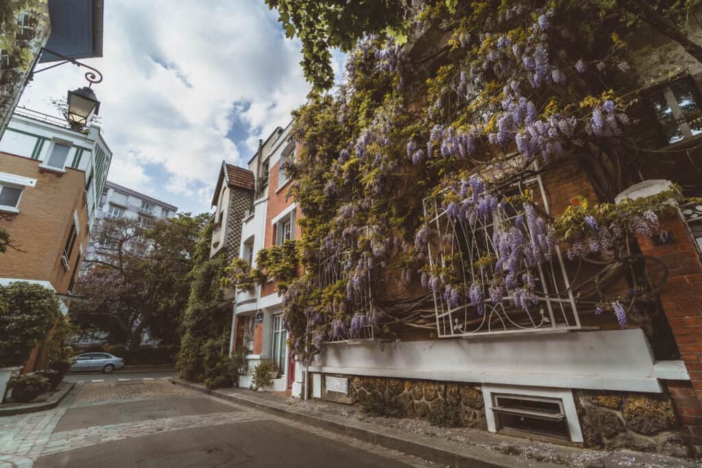 wisteria cité florale