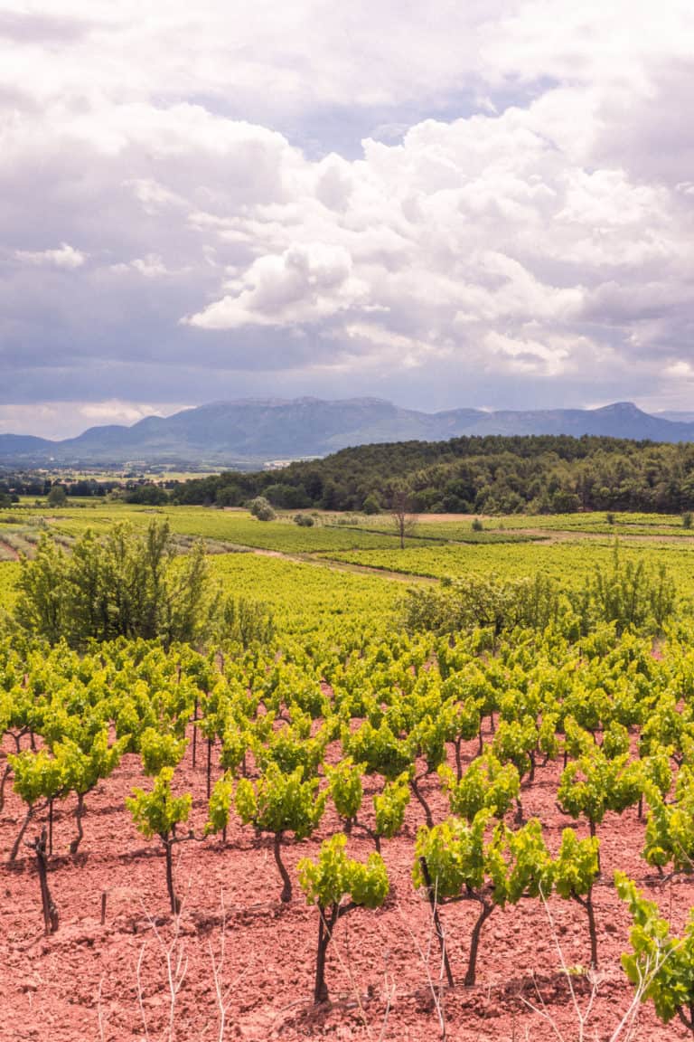 18 Sun Soaked Places in the South of France You'll Love! Cities you must visit, fishing towns, historic destinations, and places of natural beauty in Provence, the Languedoc, and along the French Riviera.