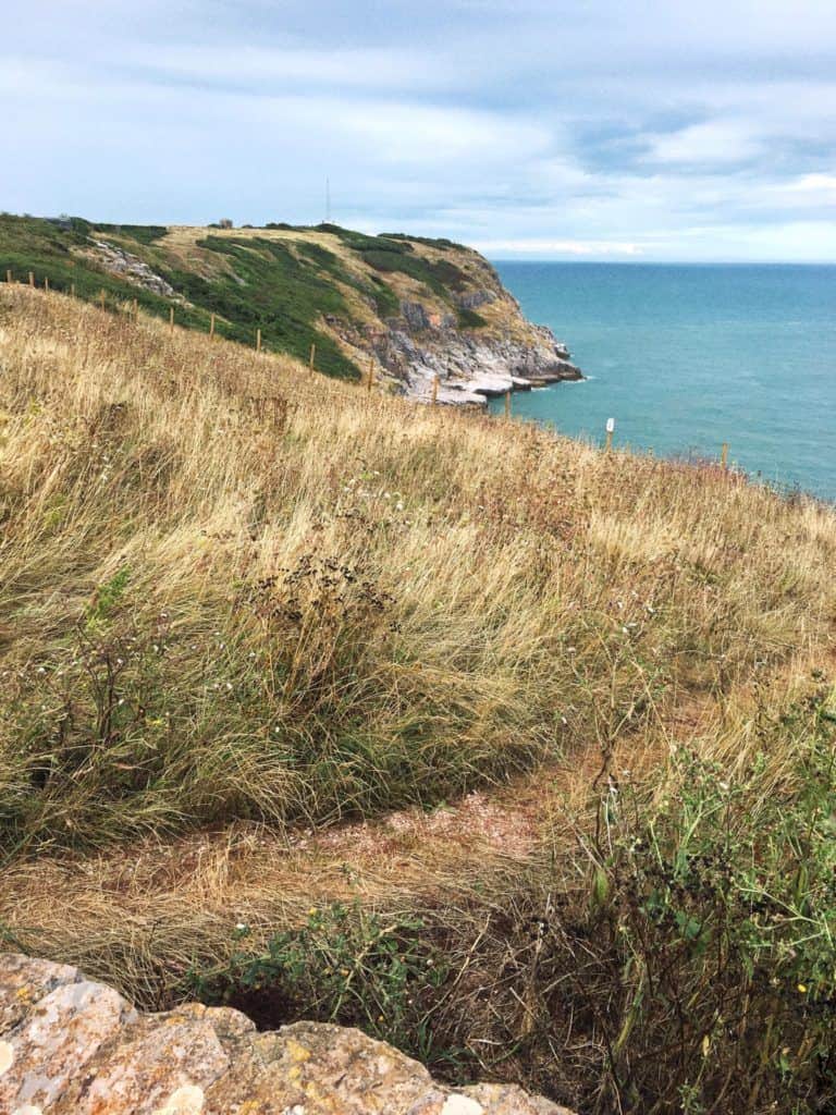 Porpoise Spotting at Berry Head Napoleonic Fort & Battery, Torbay, Devon, England