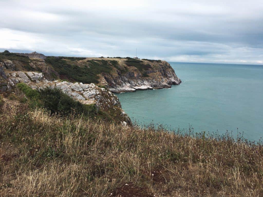 Porpoise Spotting at Berry Head Napoleonic Fort & Battery, Torbay, Devon, England