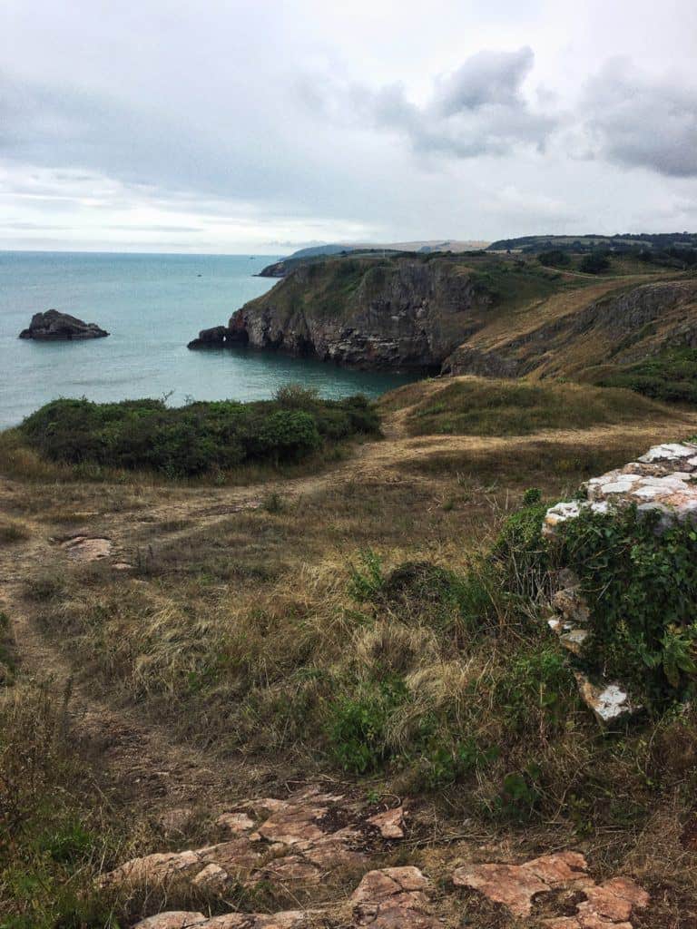 Porpoise Spotting at Berry Head Napoleonic Fort & Battery, Torbay, Devon, England