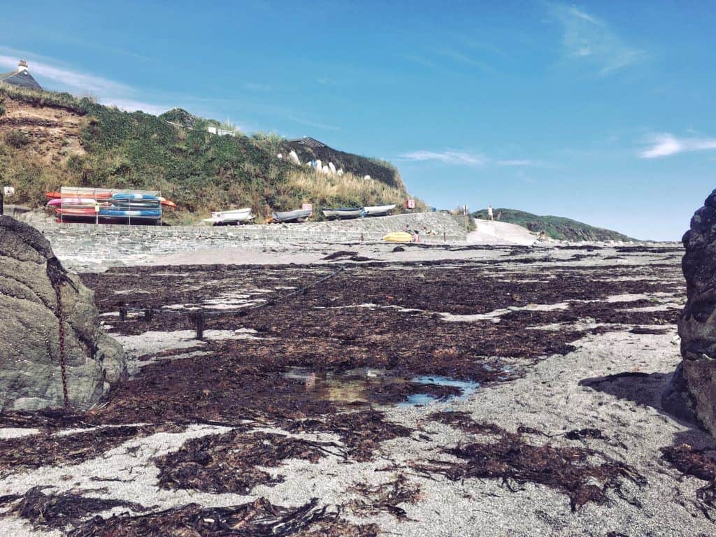 Cornwall Says No To Tourists: Here Are 6 Secret Beaches in Cornwall to Visit Instead!