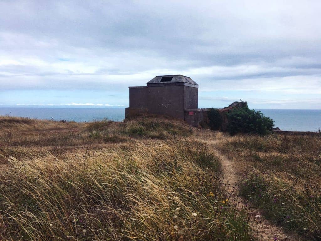 Porpoise Spotting at Berry Head Napoleonic Fort & Battery, Torbay, Devon, England