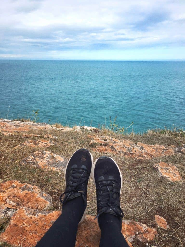 Porpoise Spotting at Berry Head Napoleonic Fort & Battery, Torbay, Devon, England
