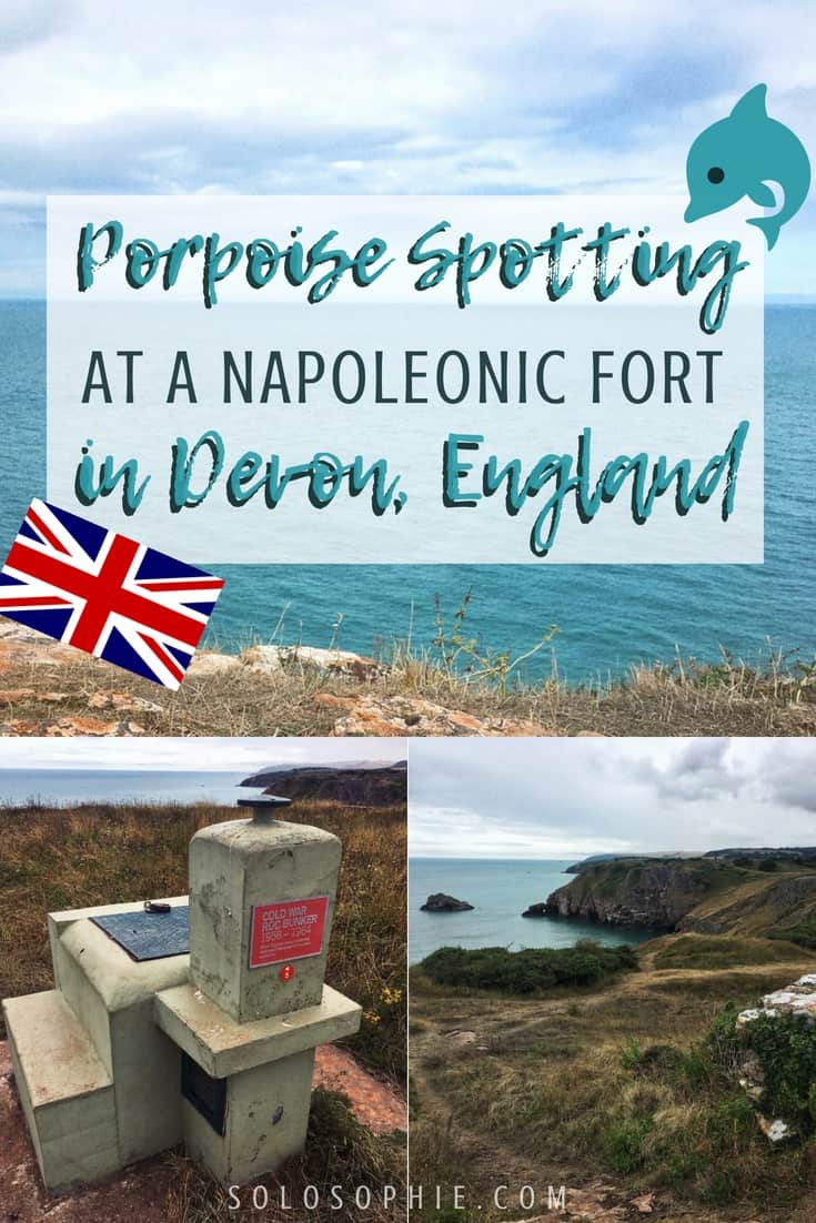 Porpoise Spotting at Berry Head Napoleonic Fort & Battery: A nature reserve with ancient monuments and rare wildlife in Torbay, Devon, England