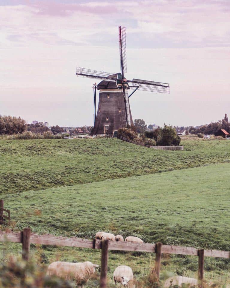 Molendriegang: Iconic Dutch Windmills Near the Hague, Holland, the Netherlands