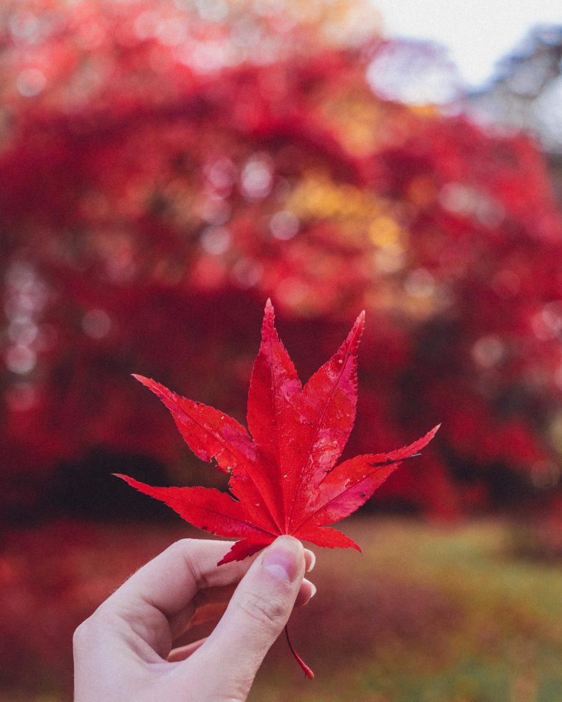 Secrets of Oxfordshire: Unique, Historical & Unusual Things to do in the count of Oxfordshire, England. Where you should stay, what you need to visit and best attractions in Oxfordshire, England