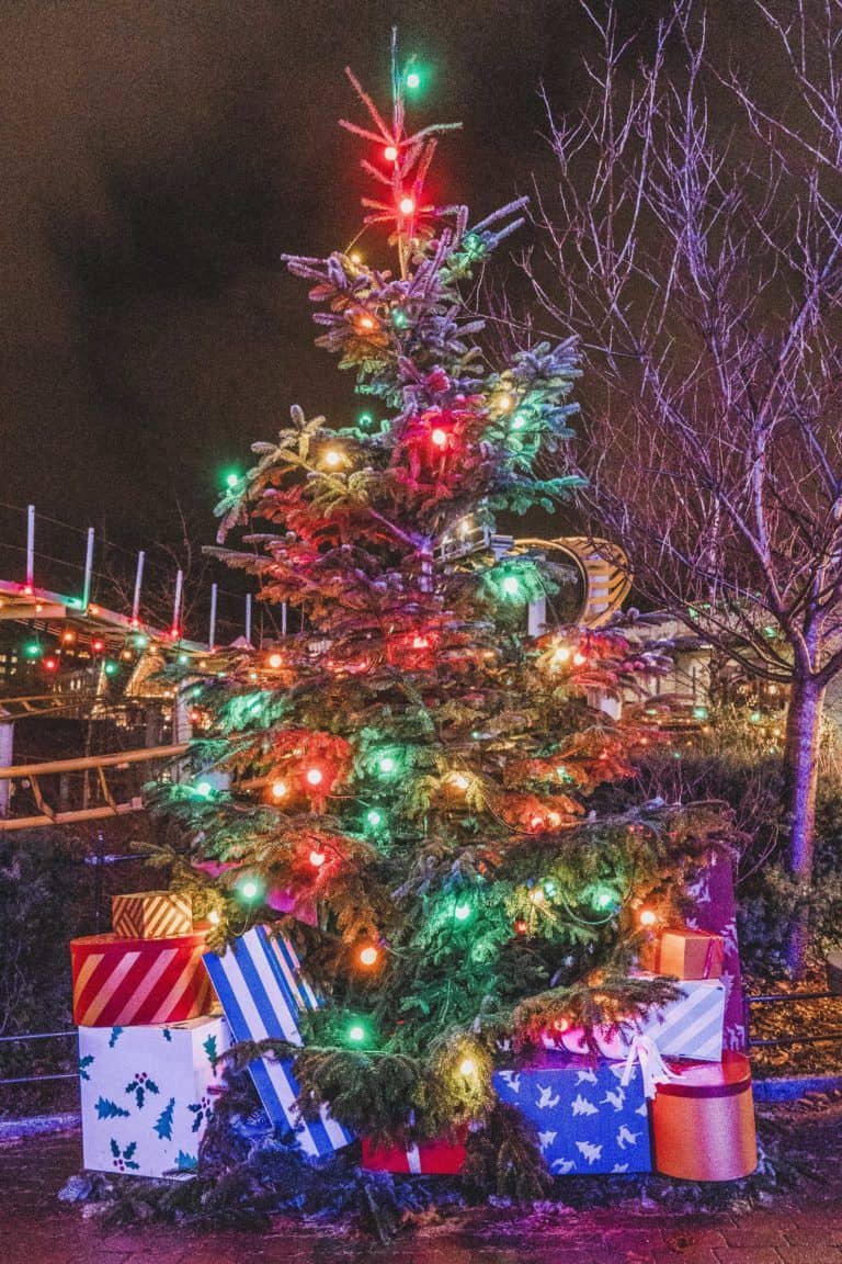 A guide to the best Christmas markets in Gothenburg. Locations, opening hours, and where to shop festive gifts in the Swedish city of Gothenburg, west coast of Sweden.