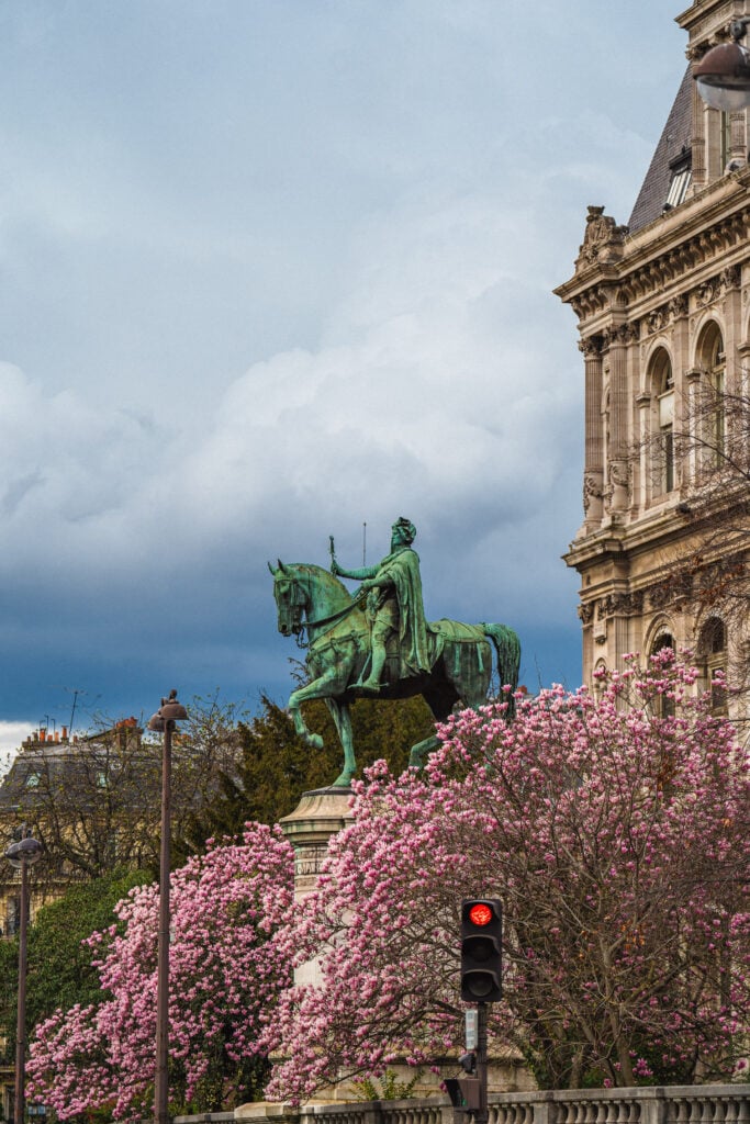 magnolia near hotel de ville paris france