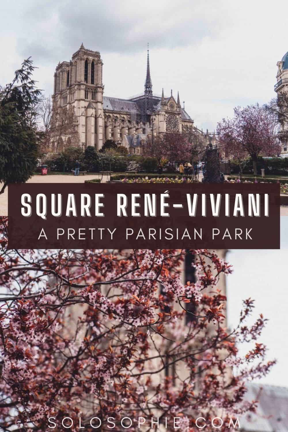 Paris France park/ Square René-Viviani: A Parisian Park on a Former Cemetery