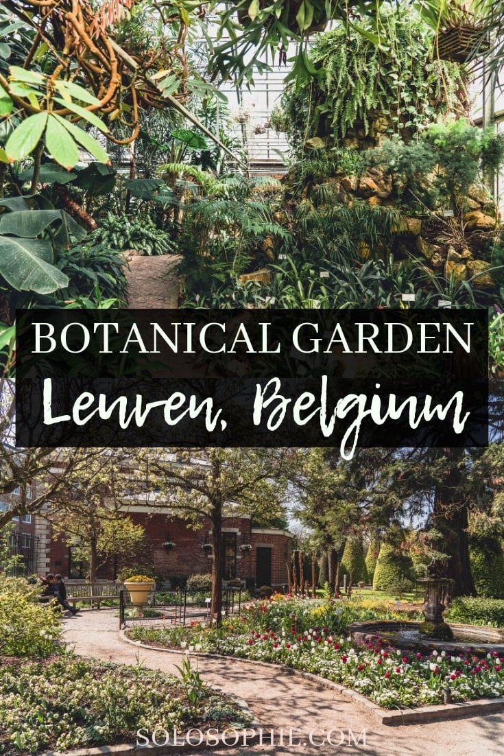 A Plant-Filled Visit to Kruidtuin Leuven, the Oldest Botanical Garden in Belgium