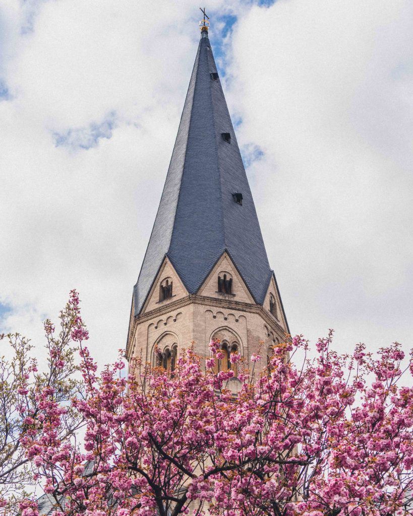 Bonn Minster (Bonner Münster) Blossom