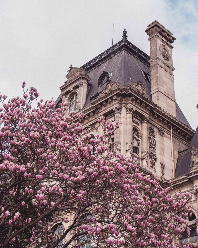Looking for the best of the French capital in the mid-spring? Paris in April: Your go-to-guide on Where to Go & What to See