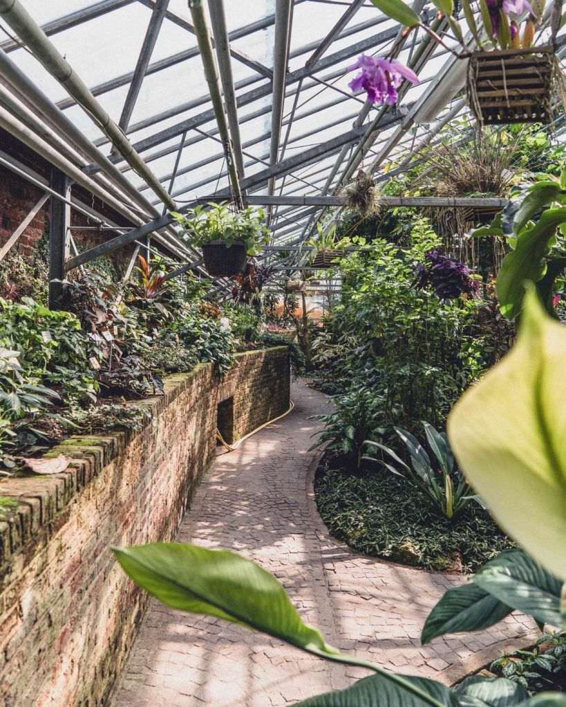Kruidtuin Leuven in Belgium, the oldest botanical garden in Belgium