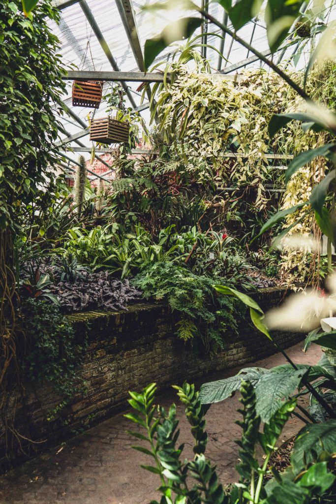 Wondering How to visit Hortus Botanicus Lovaniensis? Here's your guide on visiting Leuven's Botanical Garden, the oldest garden of its kind in Belgium, Europe