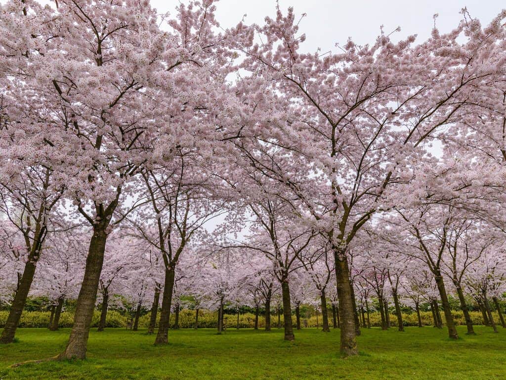 Amstelveen Netherlands