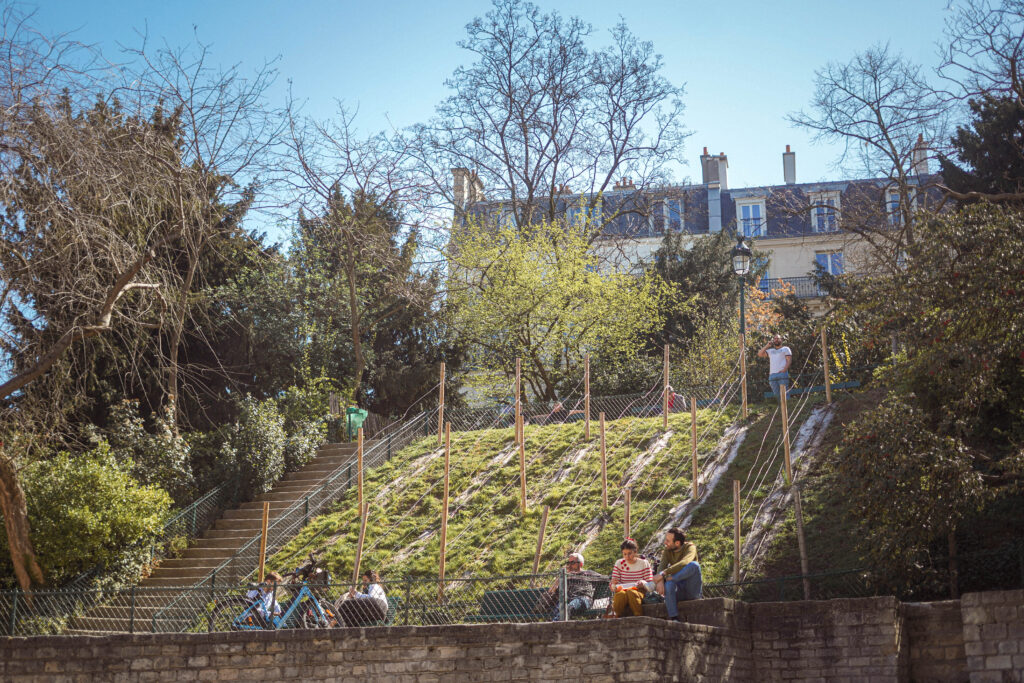 arenes de lutece vineyard