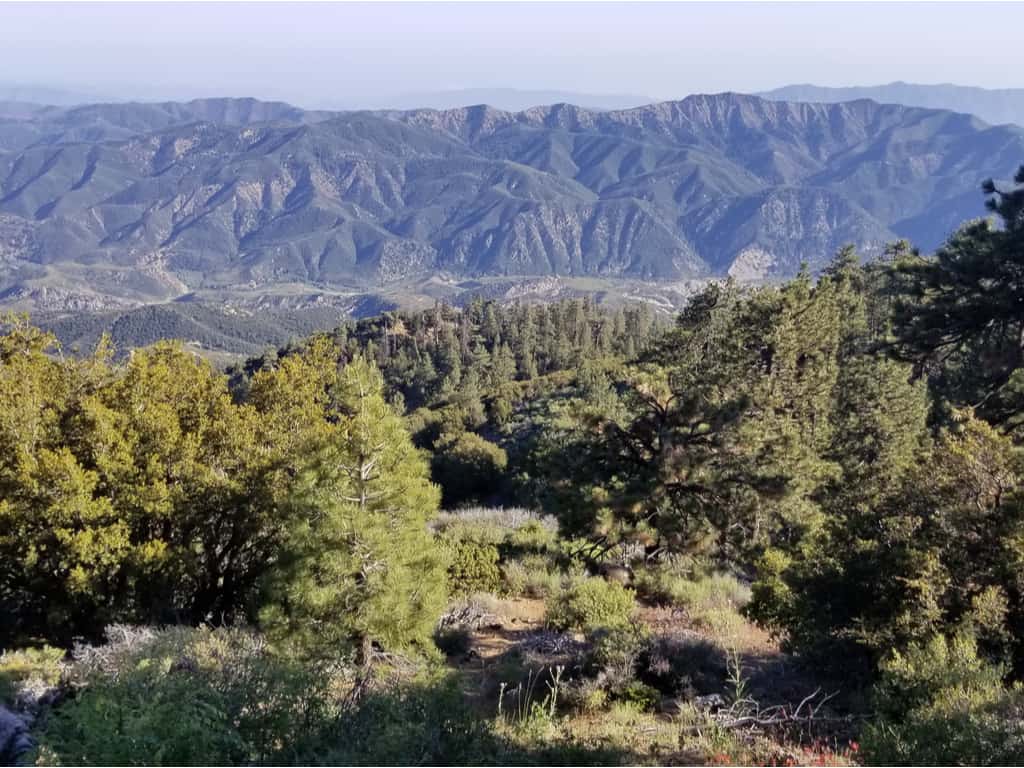 Los Padres National Forest