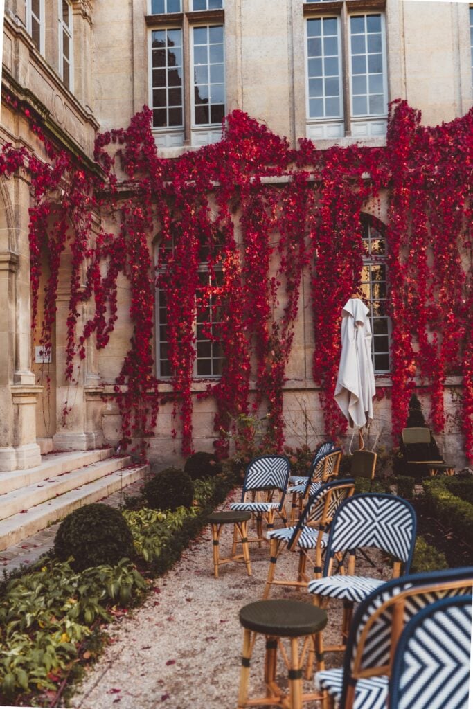 fall foliage paris le marais