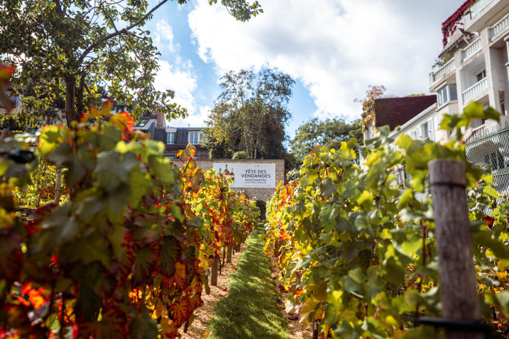 Montmartre Grape Harvest Festival 