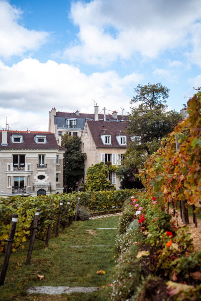 Montmartre Grape Harvest Festival 