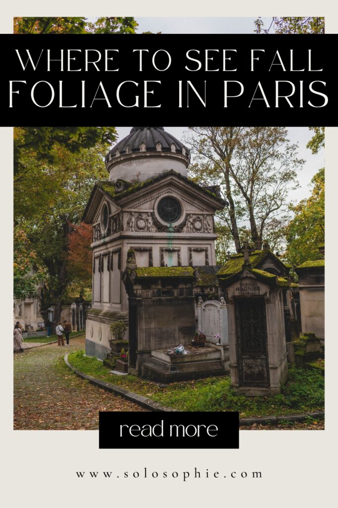 where to see the best fall foliage in paris/ autumnal travel guide to Paris france