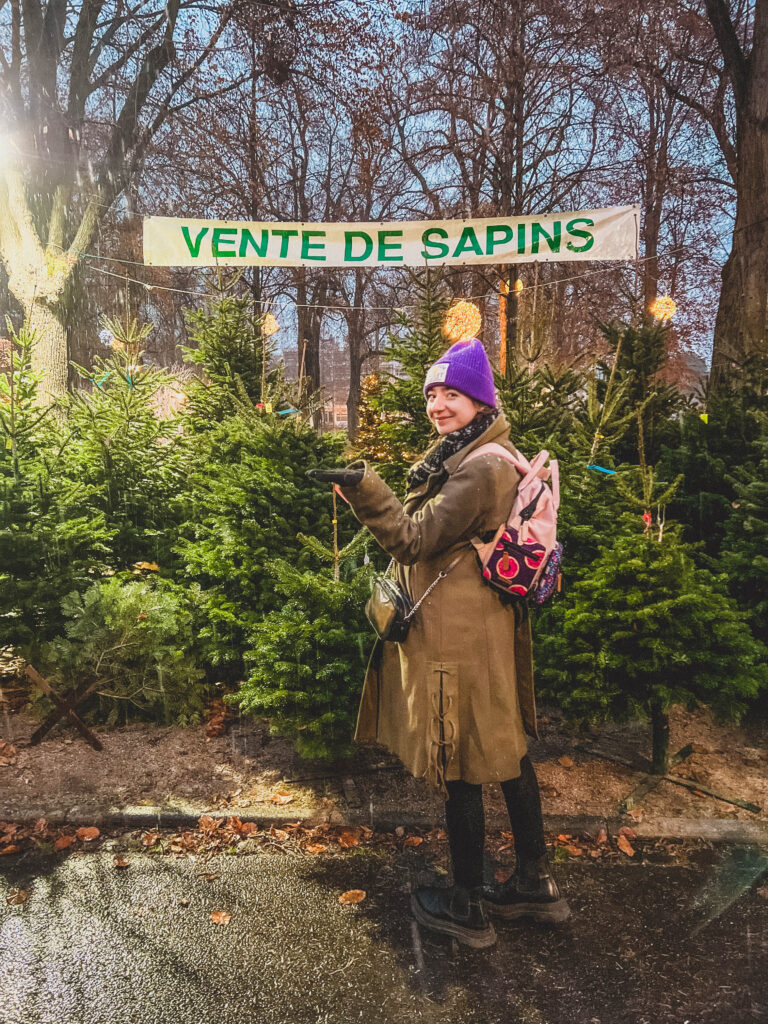 christmas sale colmar