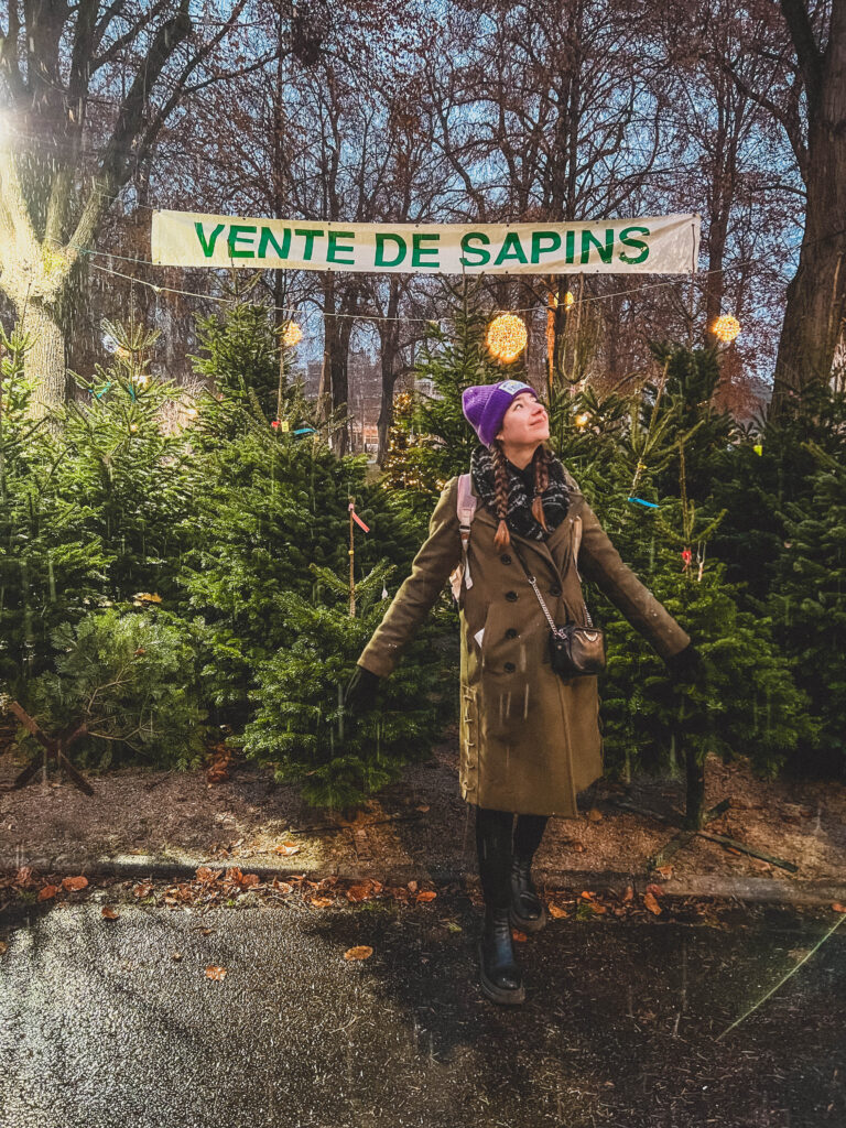 christmas tree sale colmar