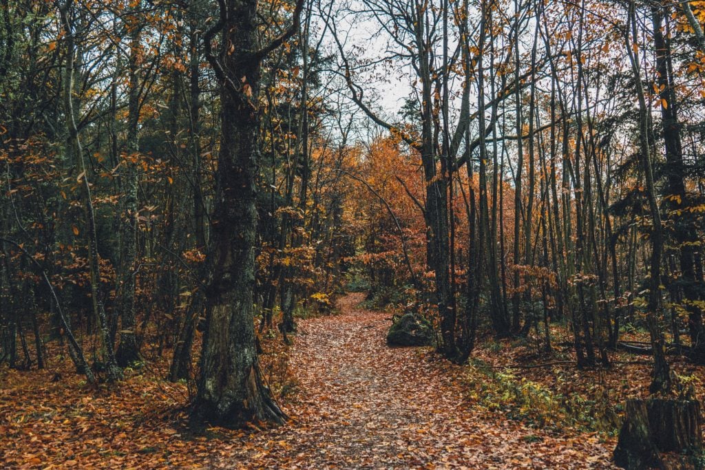 A Guide to Visiting the Three Castles of Eguisheim (Les Trois Châteaux du Haut-Eguisheim), Alsace, France)