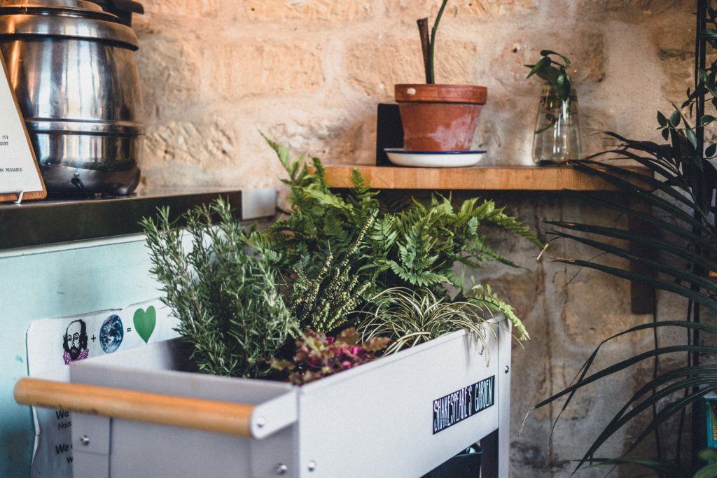 A Visit to Shakespeare & Company Cafe on the Left Bank in the Latin Quarter, Paris, France