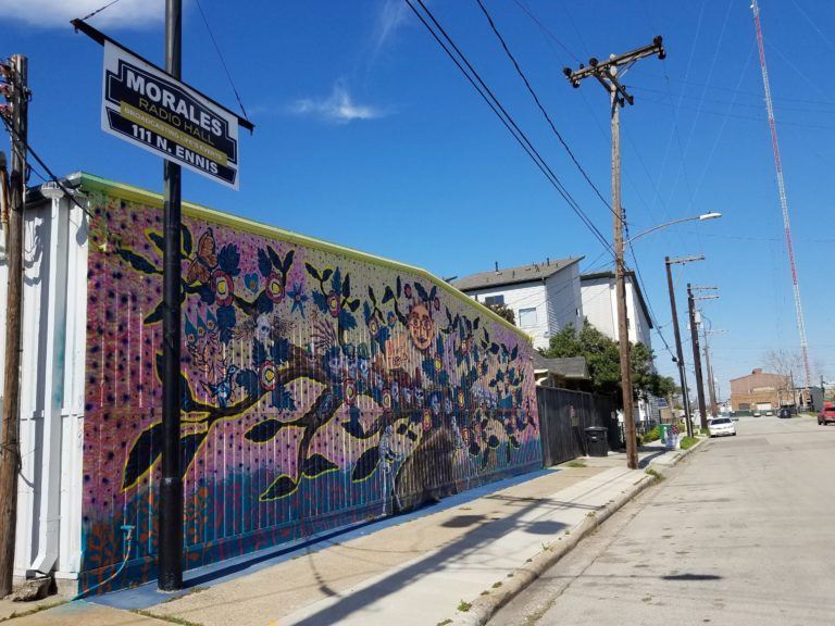 Houston's Second Ward - A History