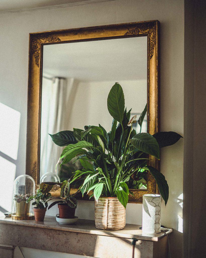 Working From Home Tips & Tricks: A Practical Guide