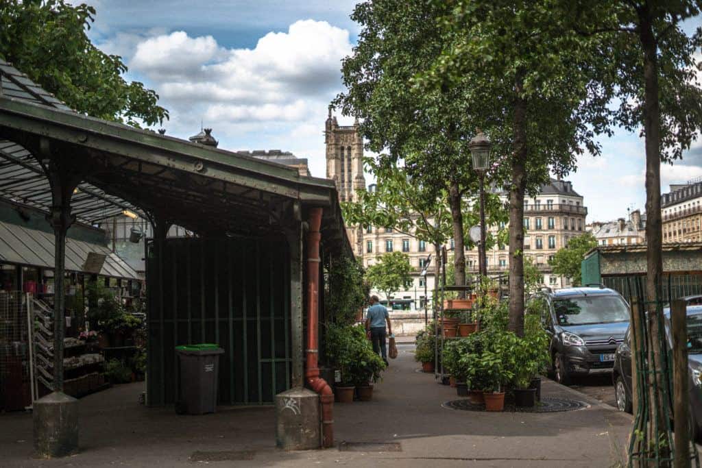How to Visit the Île de la Cité Flower Market Marché aux fleurs Reine-Elizabeth II in Paris France