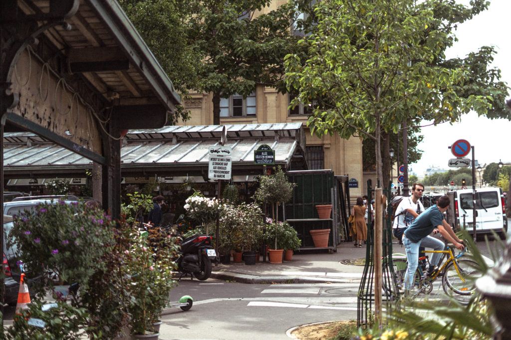 How to Visit the Île de la Cité Flower Market Marché aux fleurs Reine-Elizabeth II in Paris France