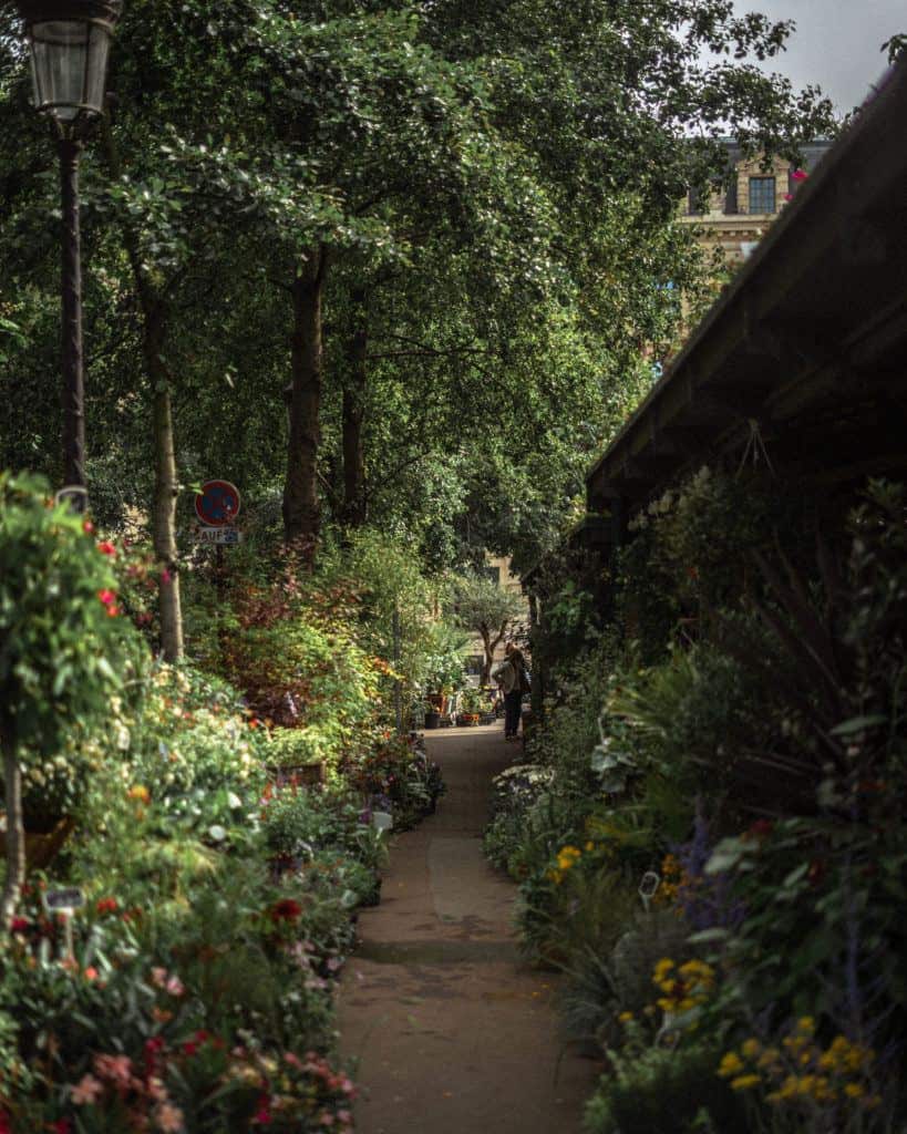 How to Visit the Île de la Cité Flower Market Marché aux fleurs Reine-Elizabeth II in Paris France