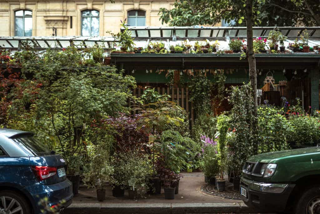How to Visit the Île de la Cité Flower Market Marché aux fleurs Reine-Elizabeth II in Paris France