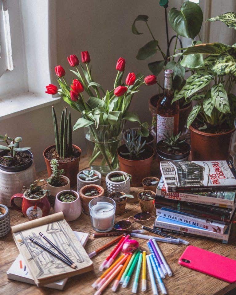 Flodesk Review: Why You Should Use Flodesk For Email Marketing